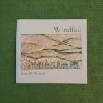Windfall - Erin M. Bertram